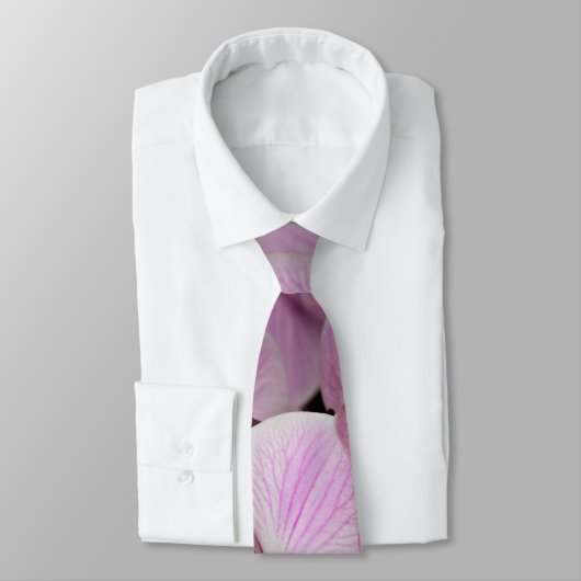 黒い背景のぽんと鳴るピンクの蘭 ネクタイ (タイ)