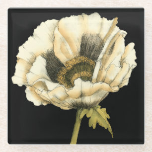 黒い背景のクリーム色のケシの花 ガラスコースター