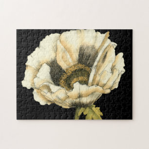 黒い背景のクリーム色のケシの花 ジグソーパズル
