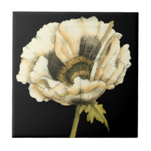 黒い背景のクリーム色のケシの花 タイル