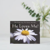 黒い背景のデイジー ポストカード (スタンド正面)