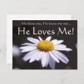 黒い背景のデイジー ポストカード (正面/裏面)