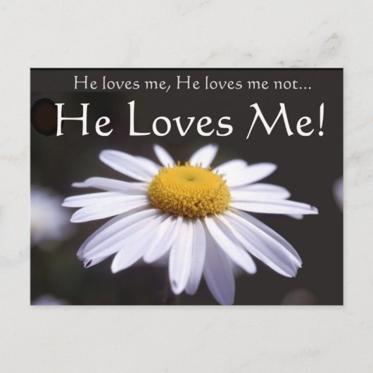 黒い背景のデイジー ポストカード (正面)