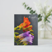 黒い背景のフリージア。哀悼の意を込めて ポストカード (スタンド正面)