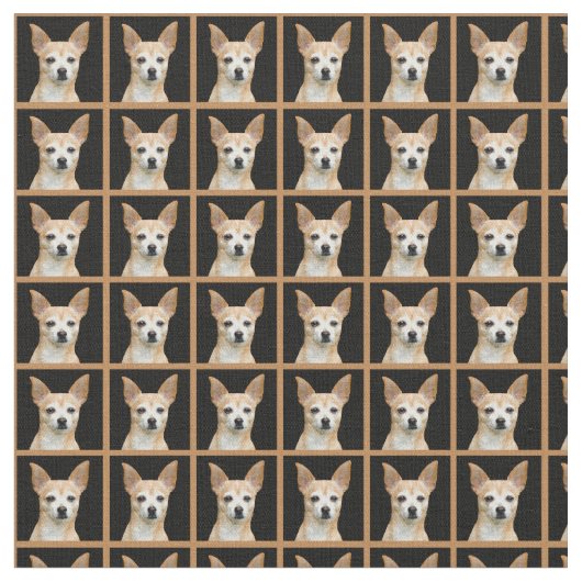 黒い背景のベージュ色彩の鮮やかなチワワ ファブリック (クローズアップ)