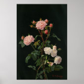 黒い背景のヴィンテージバラ ポスター (正面)