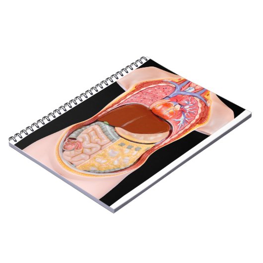 黒い背景の器官が付いているモデル人間の胴 ノートブック (左側)