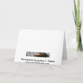 黒い背景の挨拶状の白いワスレグサ カード (裏面)