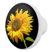 黒い背景の明るいヒマワリ セラミックノブ (右)