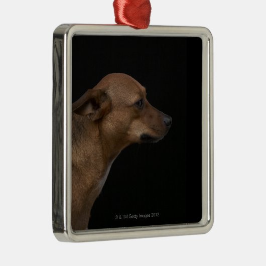 黒い背景の混合された品種犬のプロフィール メタルオーナメント (右)