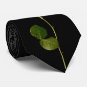 黒い背景の独身のな白いバラ ネクタイ (ロール)