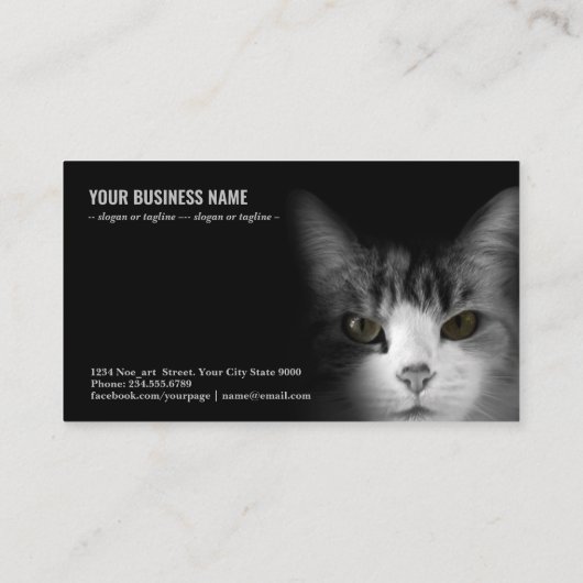 黒い背景の猫 名刺 (裏面)