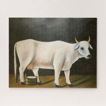 黒い背景の白い牛（家畜）