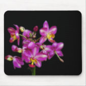 黒い背景の紫色の蘭 マウスパッド (正面)