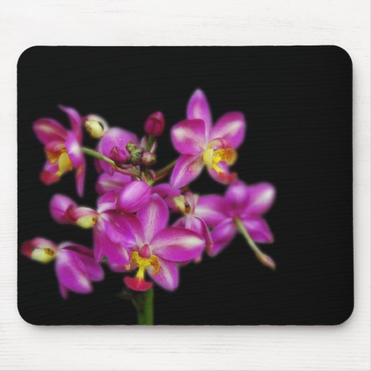 黒い背景の紫色の蘭 マウスパッド (正面)