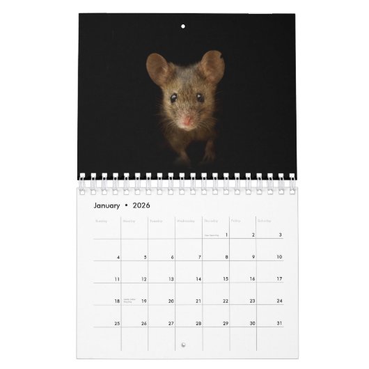 黒い背景を持つマウスのジョージ カレンダー (1月 2026)