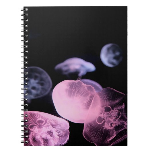 黒い背景を持つ水中の白クラゲ ノートブック (正面)