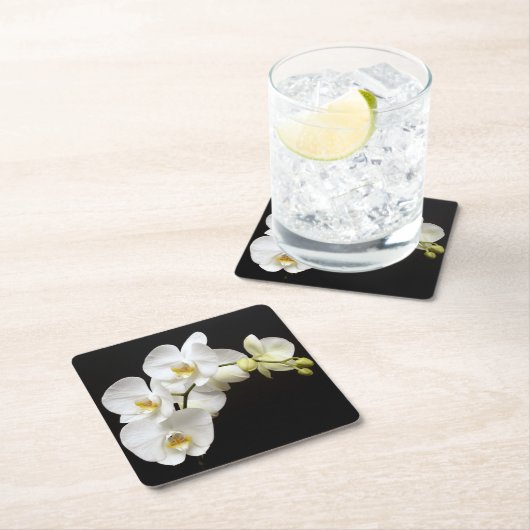 黒い背景を持つ美しい白い蘭 スクエアペーパーコースター (インサイチュ)