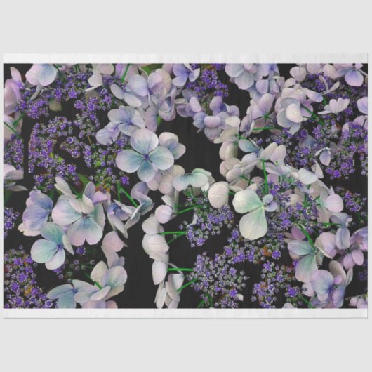 黒い背景組織に紫色の花色 薄葉紙 (正面)