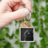 黒い背景、クローズアップに対する黒猫 キーホルダー (手)
