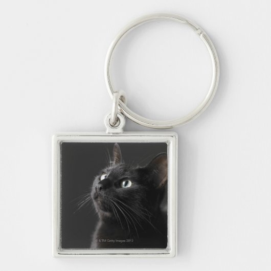 黒い背景、クローズアップに対する黒猫 キーホルダー (正面)