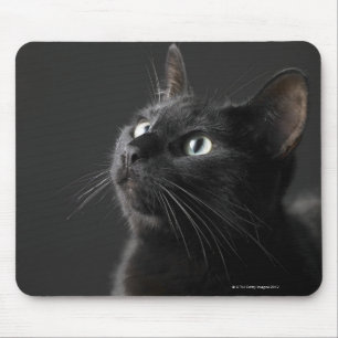 黒い背景、クローズアップに対する黒猫 マウスパッド