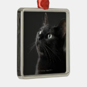 黒い背景、クローズアップに対する黒猫 メタルオーナメント (右)