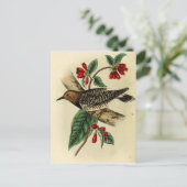 黒い胸を持つキツネザル ポストカード (スタンド正面)