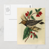 黒い胸を持つキツネザル ポストカード (正面/裏面)