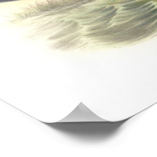 黒い色 ポスター (角)