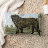 黒い英国のマスティフの装飾用クッション ランバークッション (ブランケット)