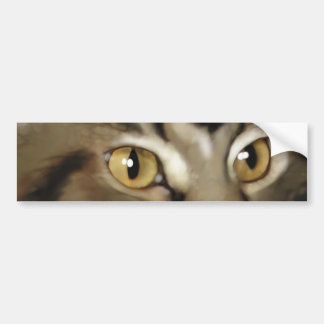 黒い虎猫のメインのあらいぐま猫 バンパーステッカー