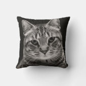 黒い虎猫の子ネコ クッション (裏面)