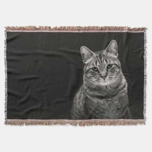 黒い虎猫の子ネコ スローブランケット (正面)