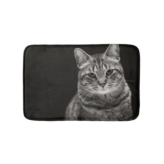 黒い虎猫の子ネコ バスマット (正面)