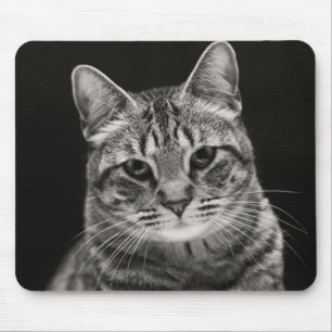 黒い虎猫の子ネコ マウスパッド