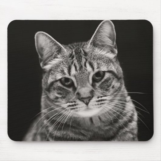 黒い虎猫の子ネコ マウスパッド (正面)
