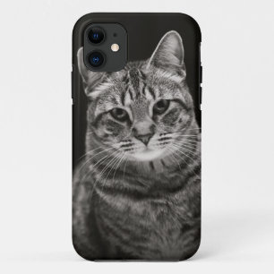 黒い虎猫の子ネコ iPhone 11 ケース