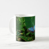 黒い蝶の羽を持つ虹色の青 コーヒーマグカップ (正面左)