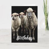 黒い誕生日グリーティングカードに3枚の羊の写真 カード (正面)