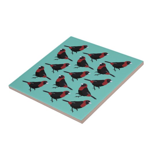 黒い赤い紅色の赤いタナガーバードソングバード タイル (側面)