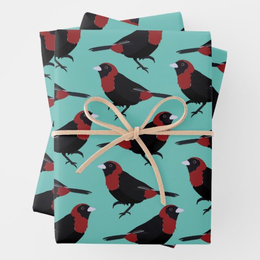 黒い赤い紅色の赤いタナガーバードソングバード ラッピングペーパーシート (インサイチュ)