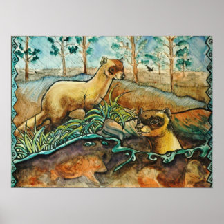 黒い足のフェレットのポスター ポスター