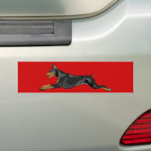 黒い連続したドーベルマン犬 バンパーステッカー (車上)