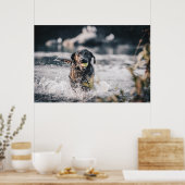 黒い遊ラブラドールが水に取り込む ポスター (キッチン)