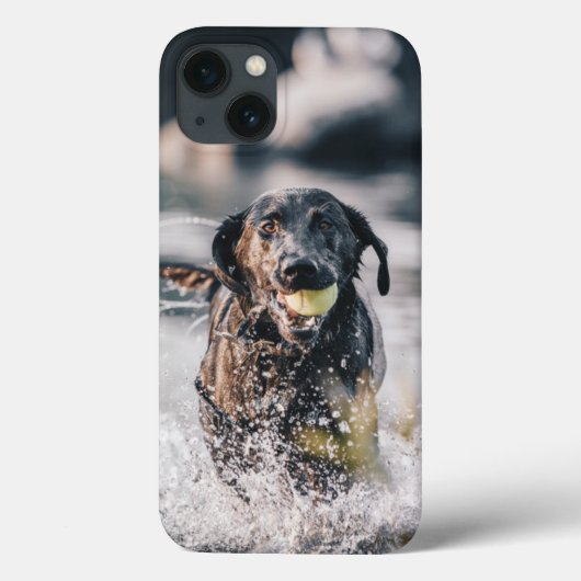 黒い遊ラブラドールが水に取り込む Case-Mate iPhoneケース (裏面)