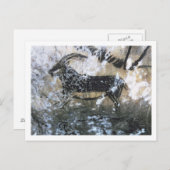 黒い部屋に絵画いるヤギかシャモア ポストカード (正面/裏面)