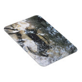 黒い部屋に絵画いるヤギかシャモア マグネット (右側)