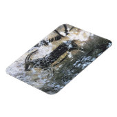 黒い部屋に絵画いるヤギかシャモア マグネット (左側)