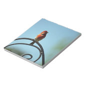 黒い鍛鉄ポール上の赤い色のフィンチ ノートパッド (回転)